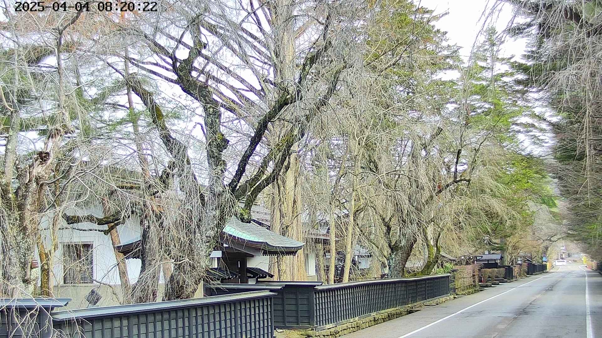 area3-20250404082027.jpg
