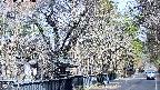 area3-20250404084030.jpg