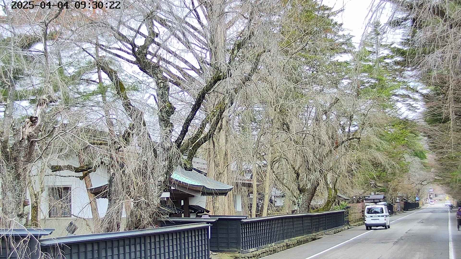 area3-20250404093027.jpg