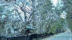 area3-20250404181028.jpg