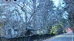 area3-20250405050027.jpg