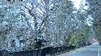 area3-20250405051029.jpg