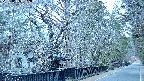 area3-20250405052029.jpg