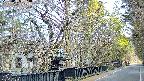 area3-20250405064030.jpg