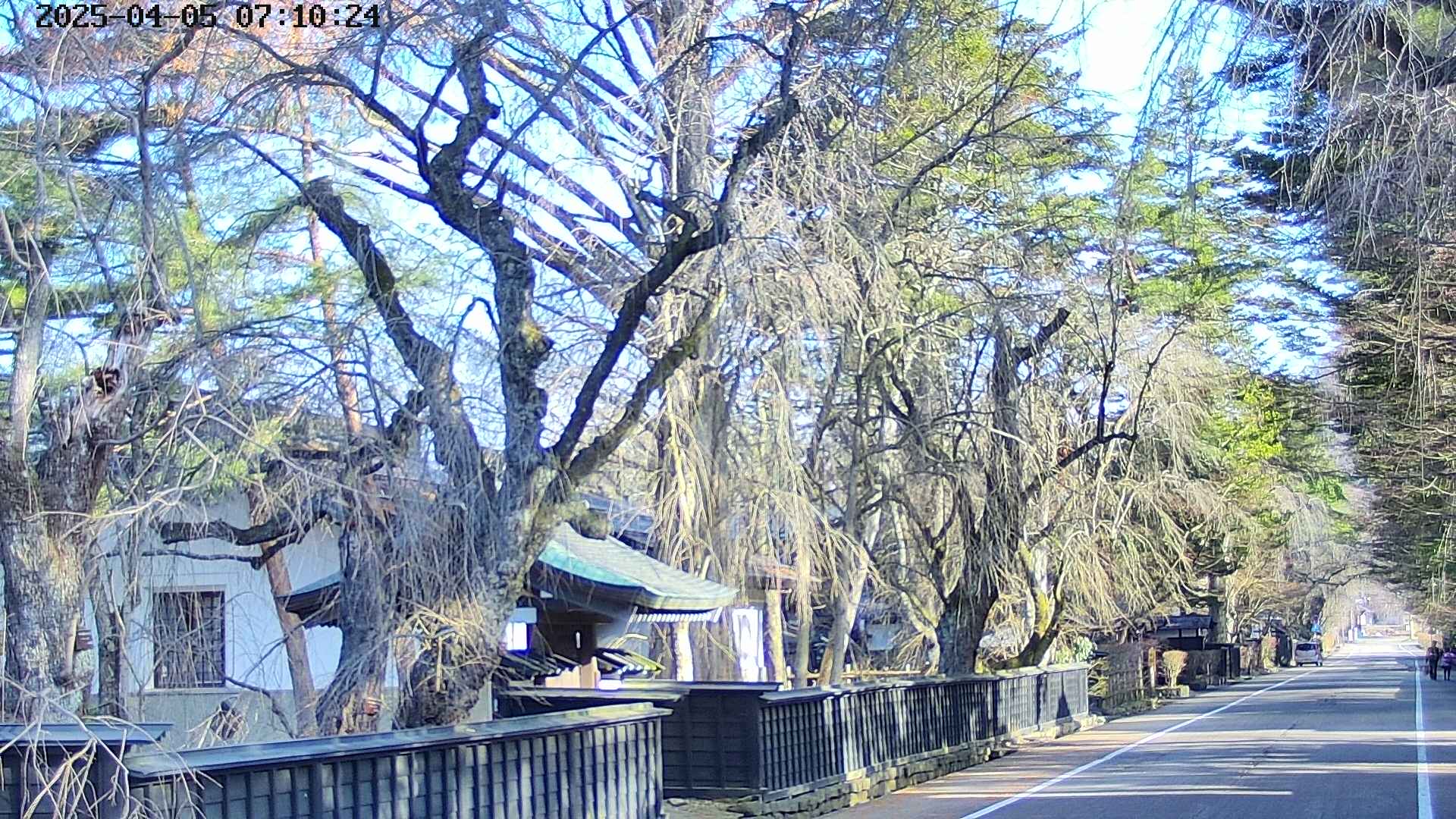 area3-20250405071029.jpg