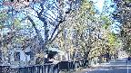 area3-20250405071029.jpg