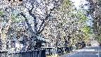 area3-20250405080030.jpg