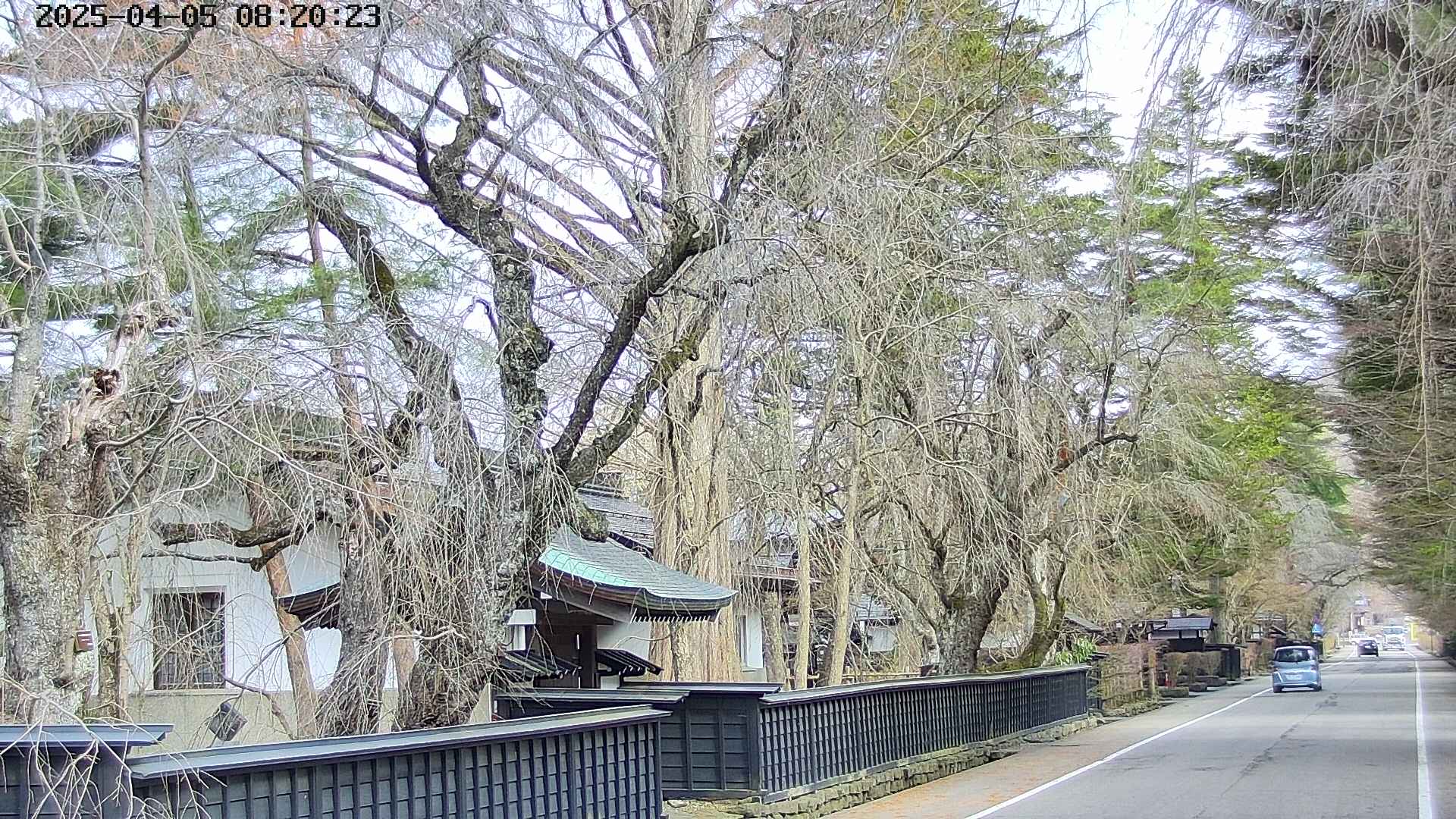 area3-20250405082028.jpg