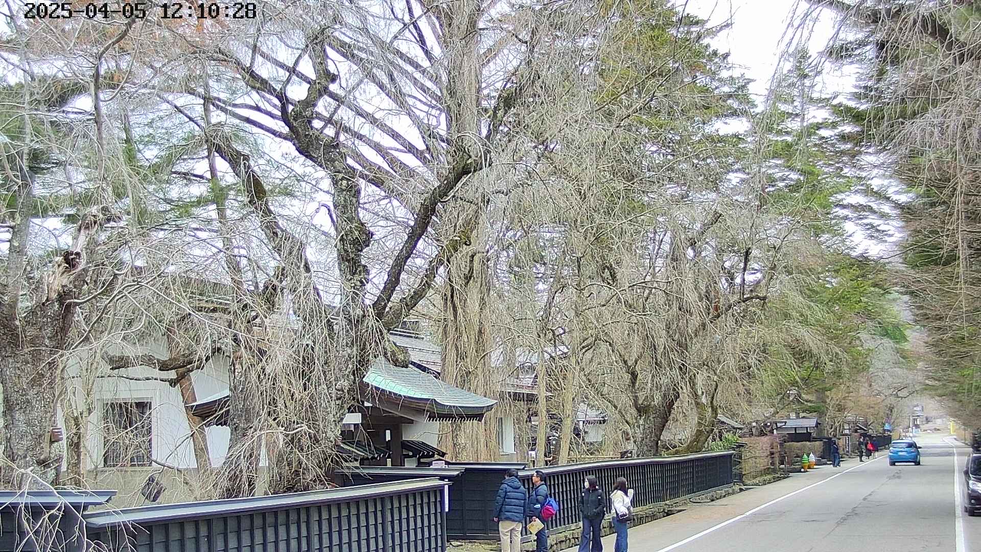 area3-20250405121029.jpg