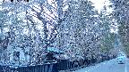 area3-20250405181030.jpg