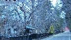 area3-20250406050028.jpg