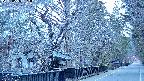 area3-20250406051027.jpg