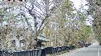 area3-20250406063028.jpg
