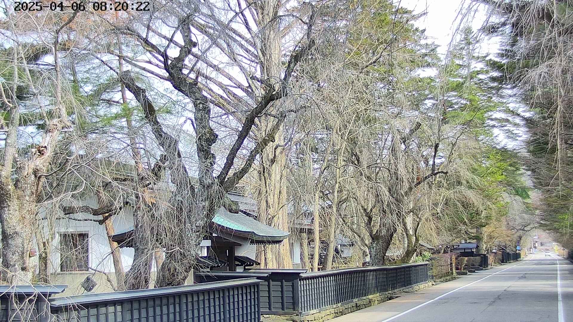 area3-20250406082027.jpg