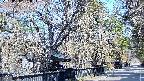 area3-20250406091029.jpg