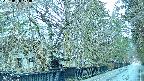 area3-20250406174027.jpg
