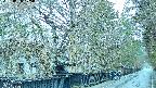 area3-20250406175028.jpg