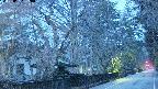 area3-20250407050028.jpg
