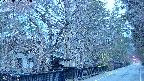 area3-20250407051029.jpg