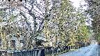 area3-20250407073028.jpg