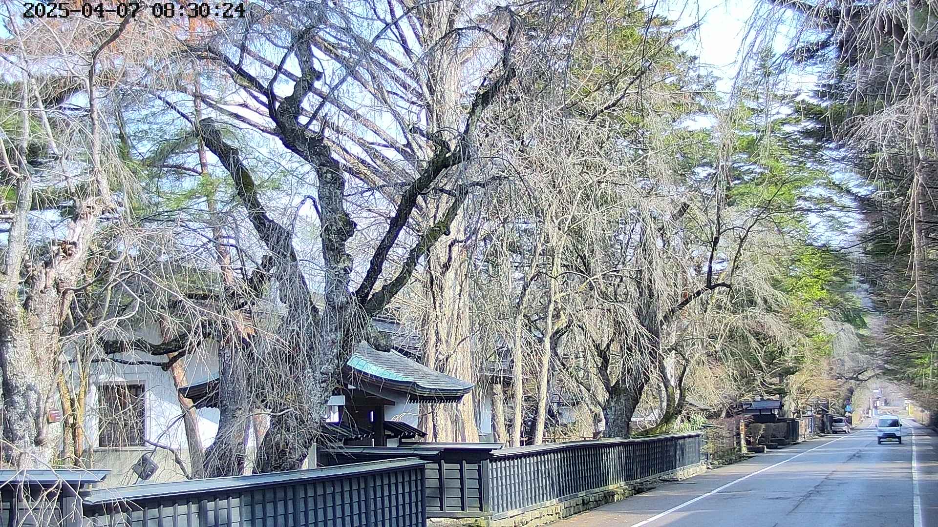 area3-20250407083028.jpg