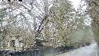 area3-20250407120028.jpg