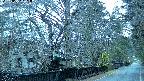 area3-20250407181029.jpg