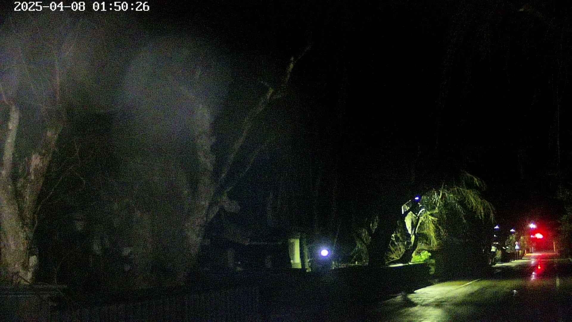 area3-20250408015029.jpg