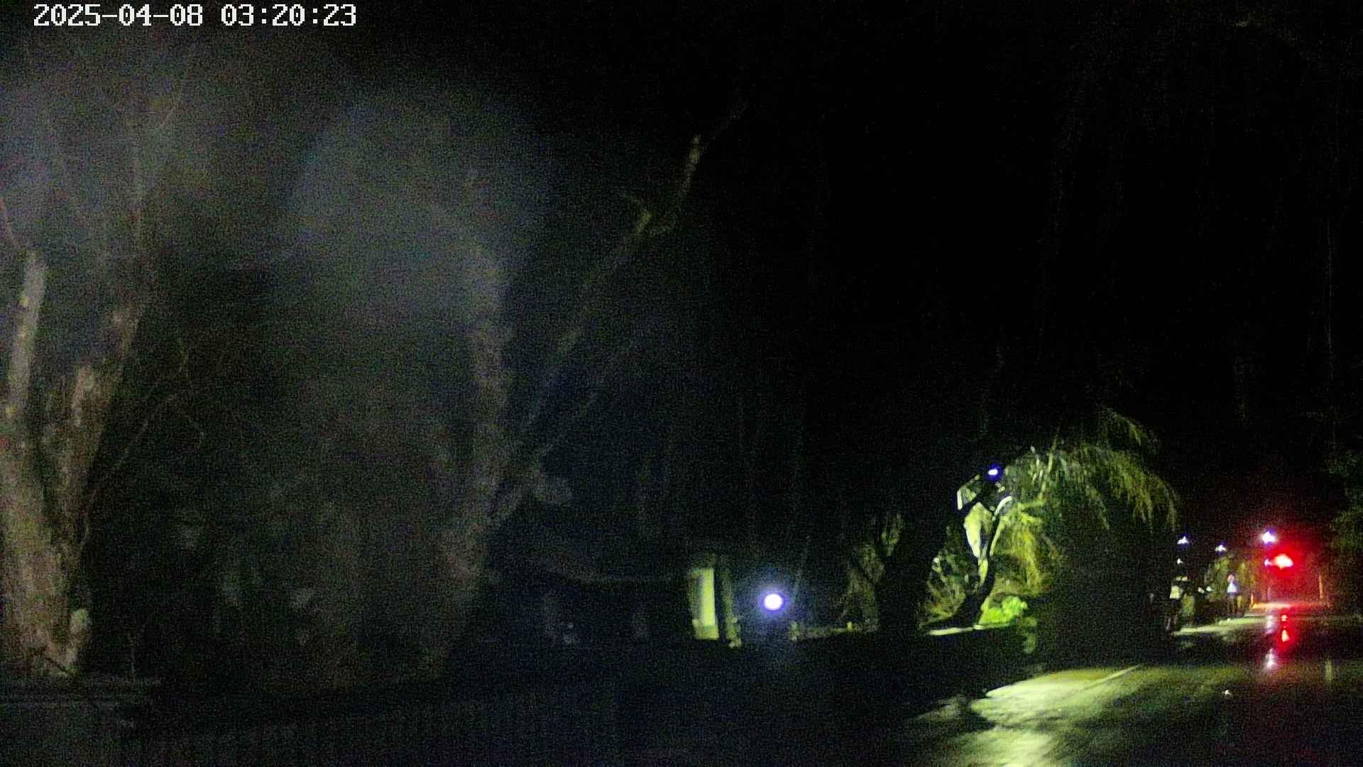 area3-20250408032026.jpg