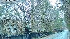 area3-20250408052027.jpg
