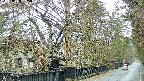 area3-20250408065029.jpg