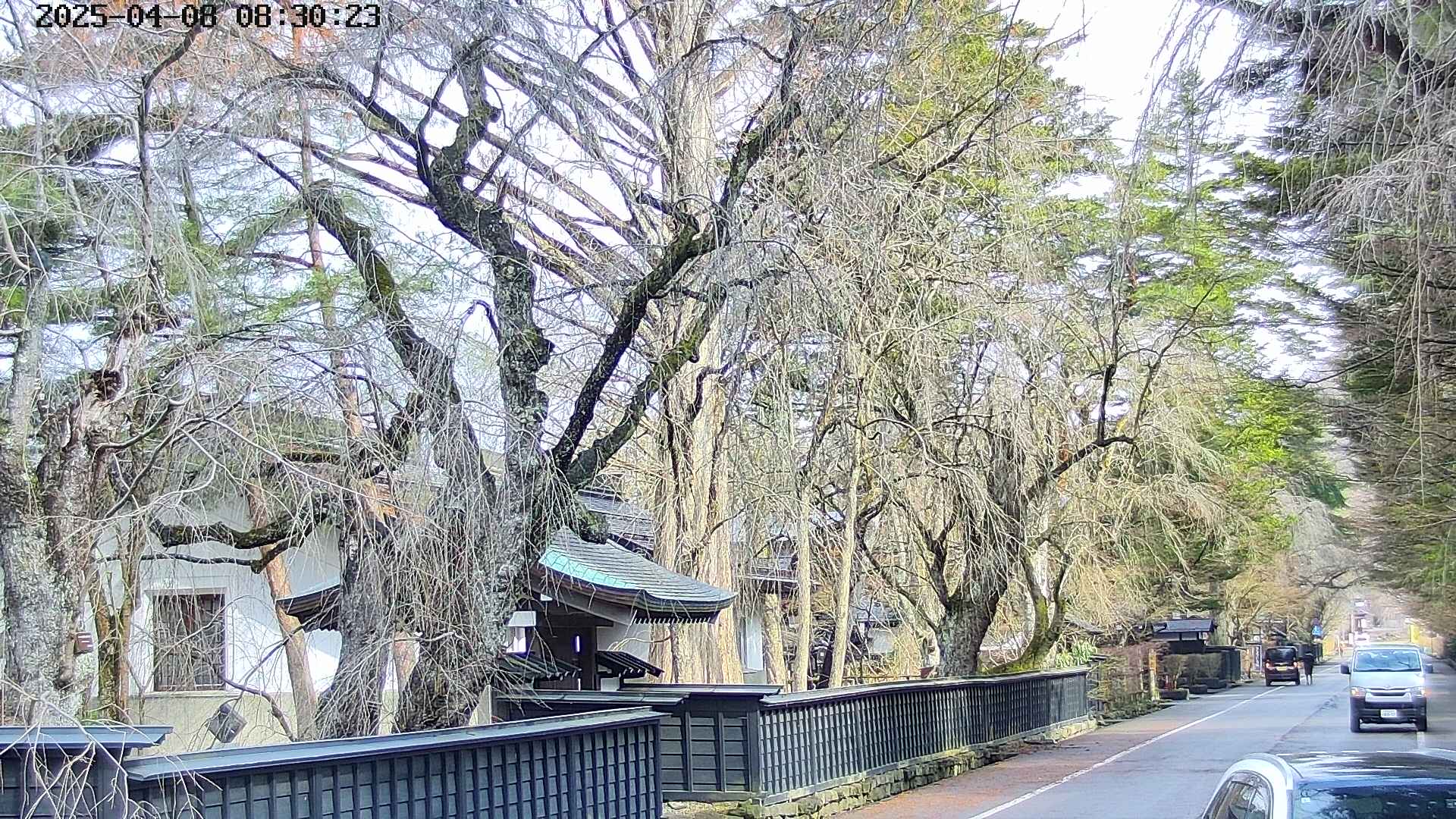 area3-20250408083028.jpg