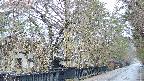 area3-20250408165029.jpg