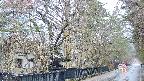 area3-20250408170029.jpg