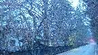 area3-20250409051030.jpg