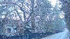 area3-20250409053027.jpg