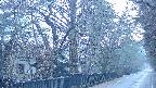 area3-20250409054027.jpg