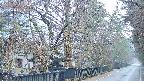 area3-20250409055028.jpg