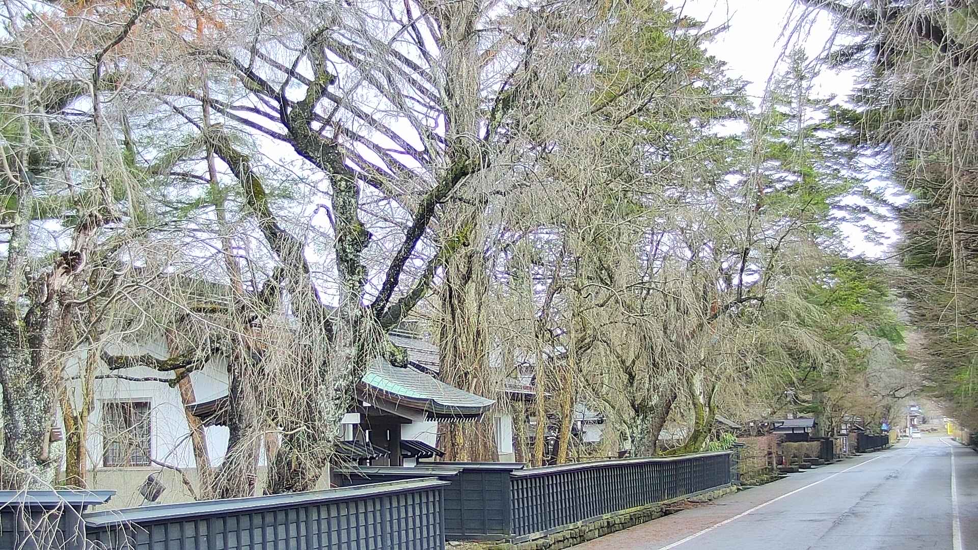 area3-20250409083029.jpg