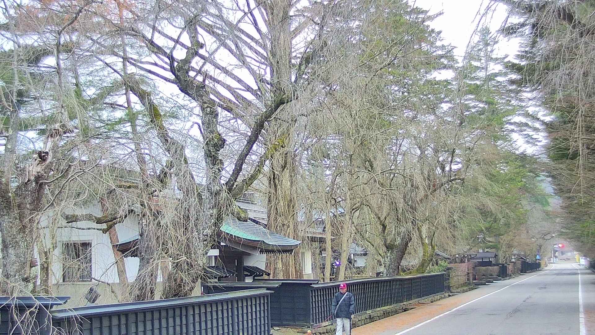 area3-20250410053028.jpg