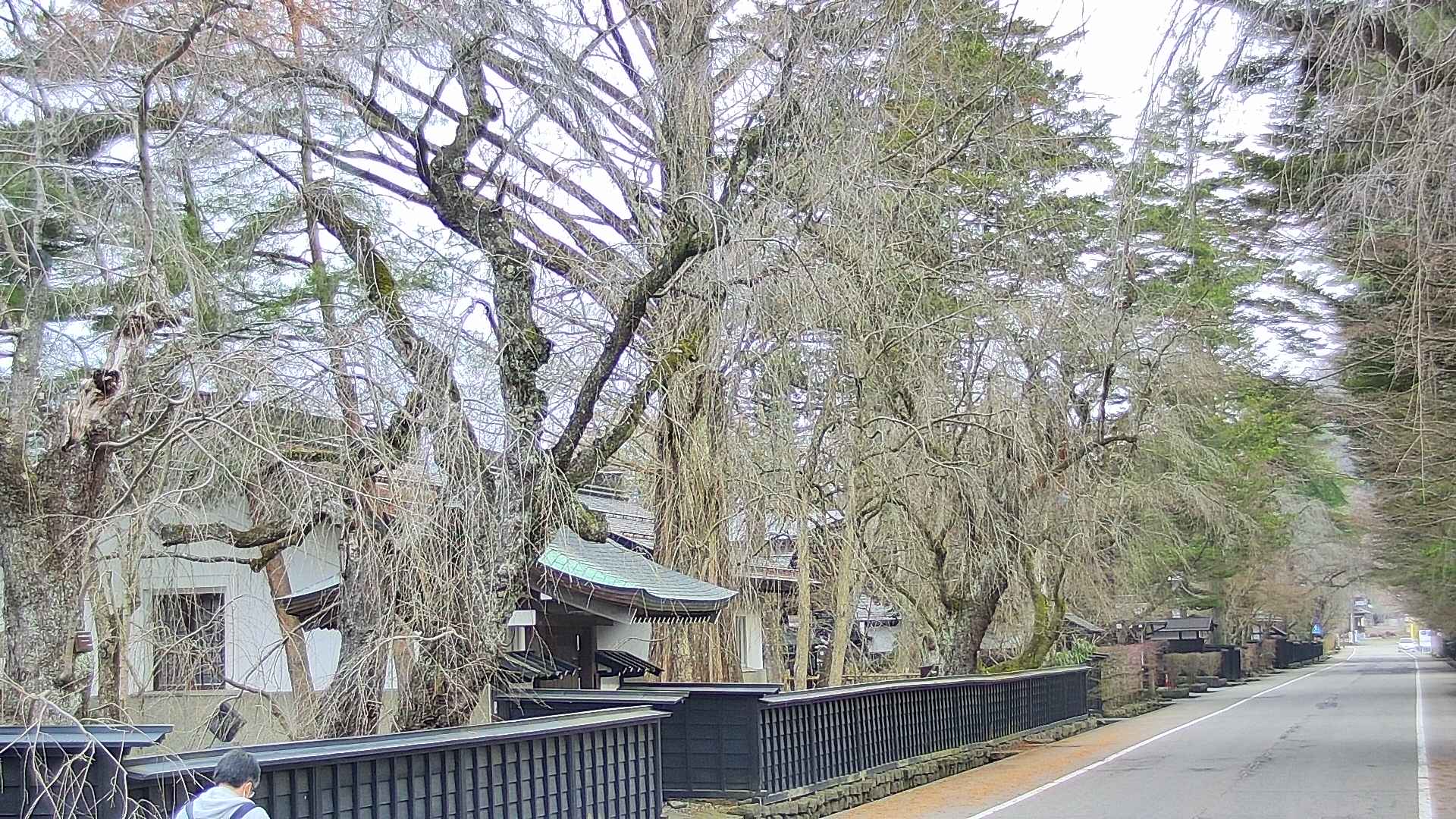 area3-20250410071027.jpg