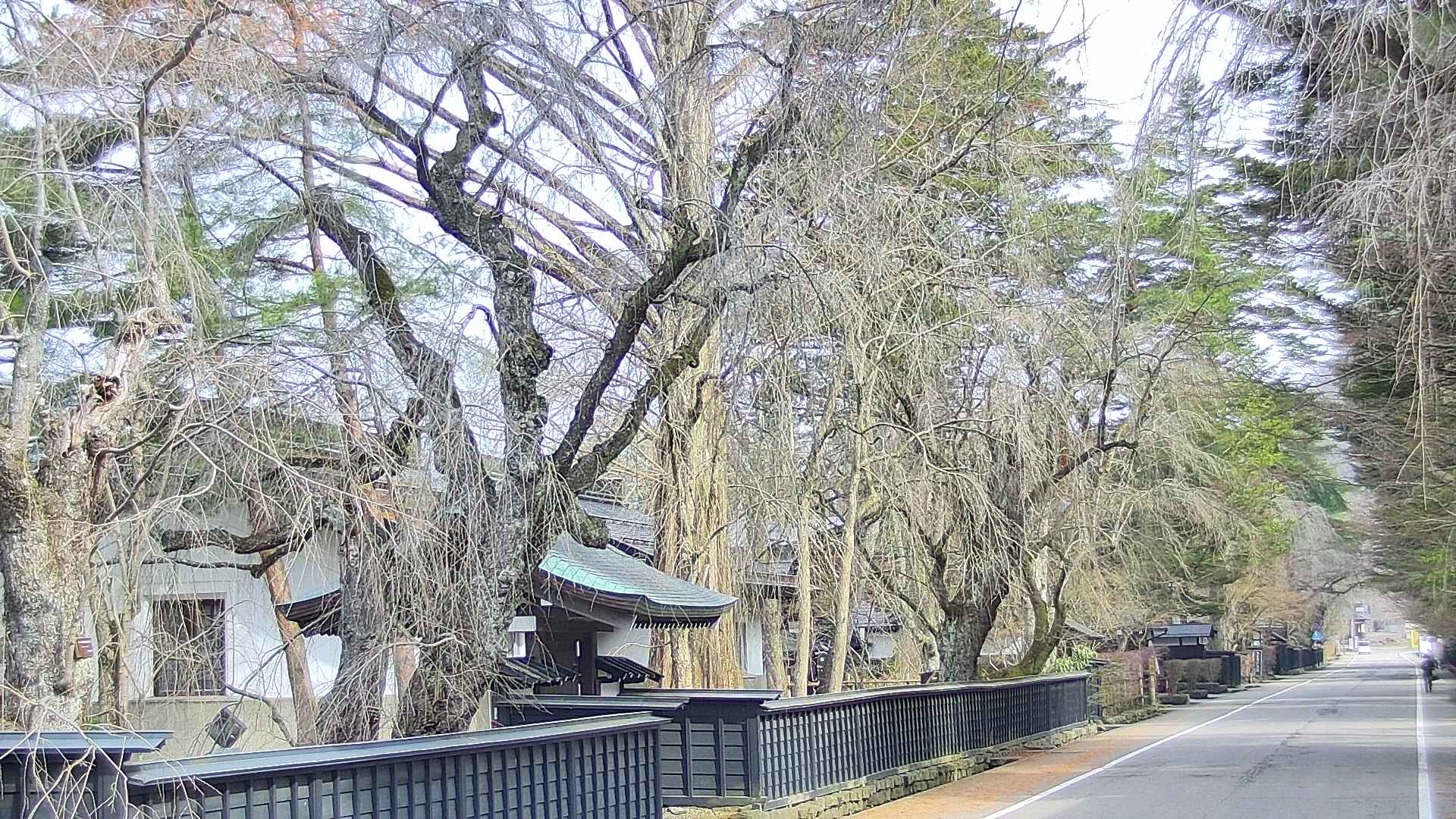 area3-20250410083029.jpg