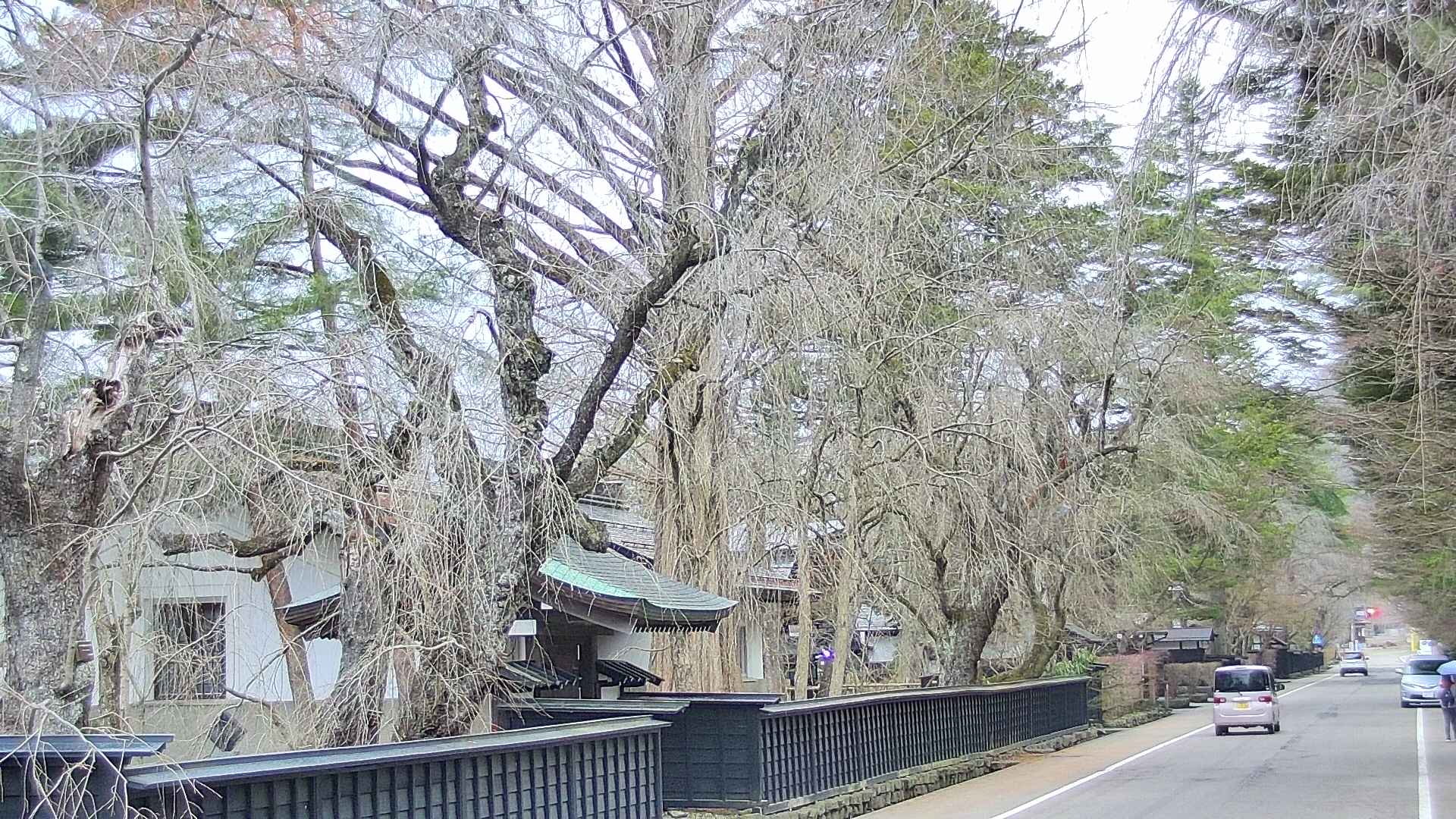 area3-20250410173030.jpg