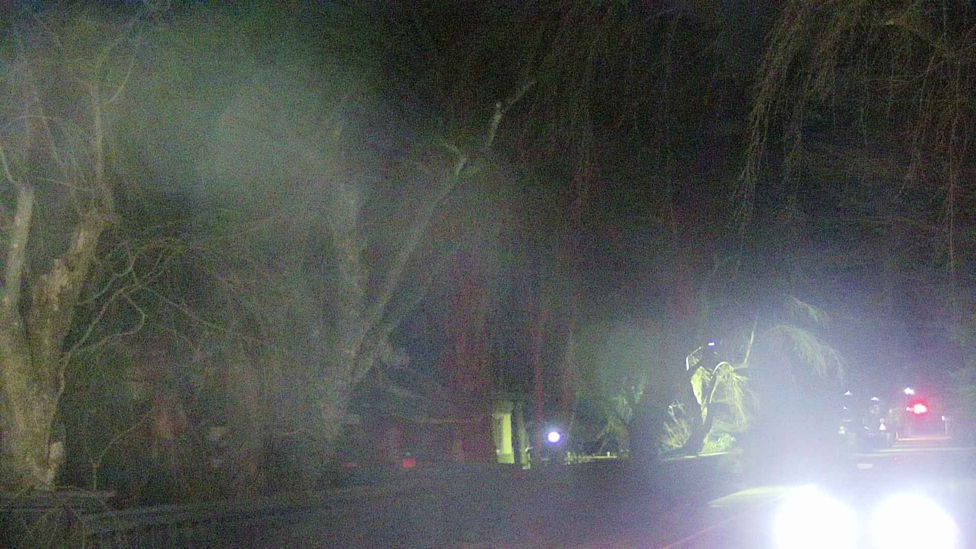 area3-20250410215027.jpg