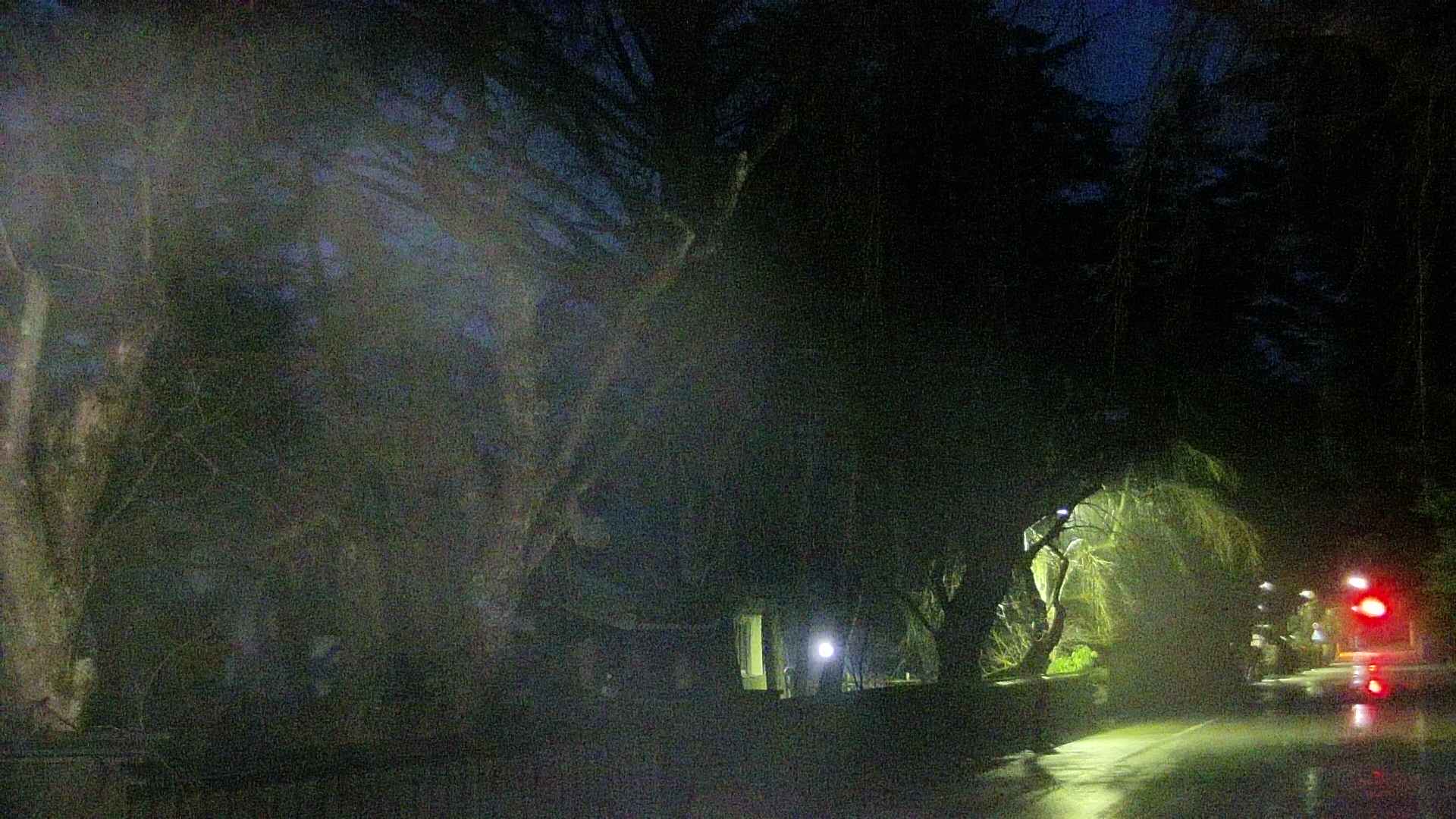 area3-20250411044027.jpg