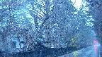 area3-20250411051028.jpg
