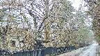 area3-20250411063028.jpg
