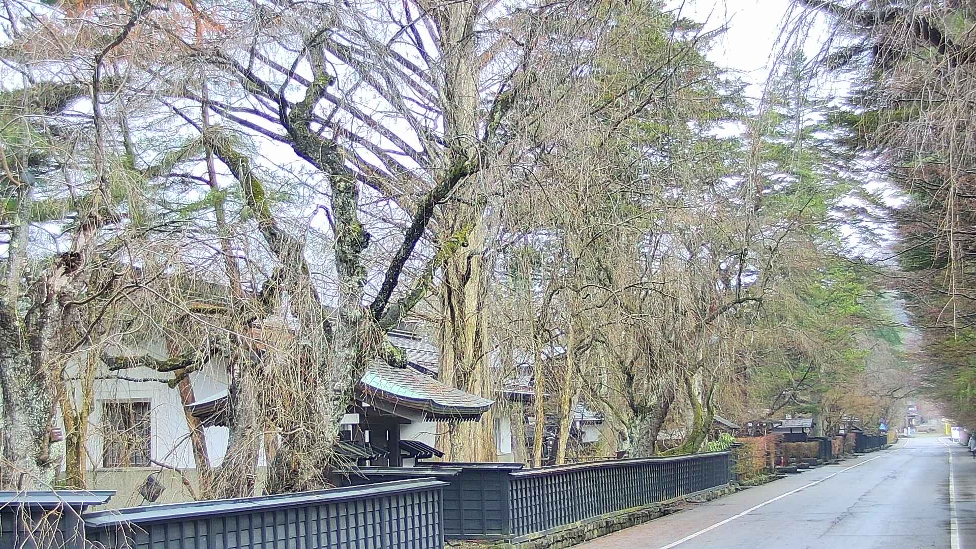 area3-20250411083028.jpg