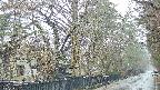 area3-20250411101028.jpg