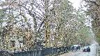 area3-20250411104028.jpg